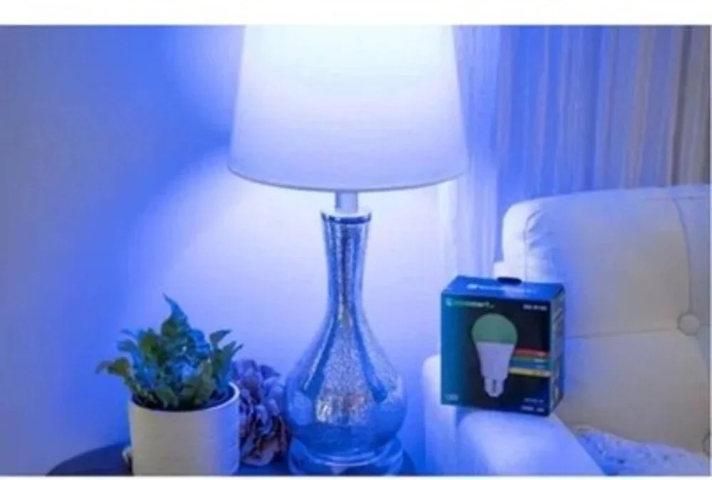 Ecosmart 5W A19 RGB LED Color-Changing Light Bulb 1006 787 896 2 PACK